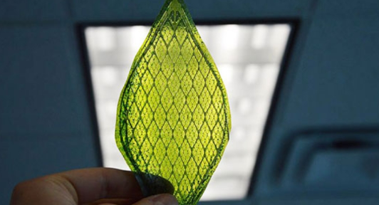 Artificial Silk Leaf that can produce Oxygen in Space